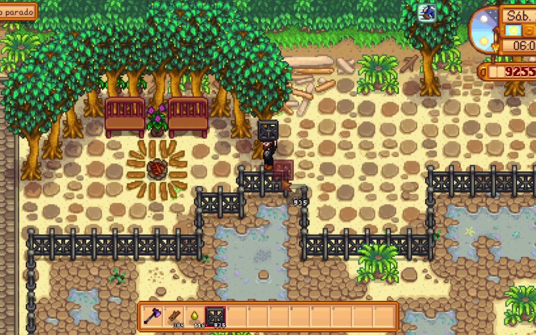 星露谷物语沙滩