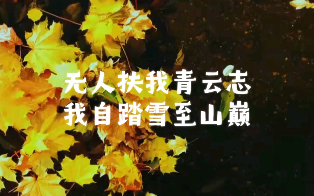 无人扶我青云志,我自踏雪至山巅,倘若命中无此运,孤身亦可登昆仑,苦厄