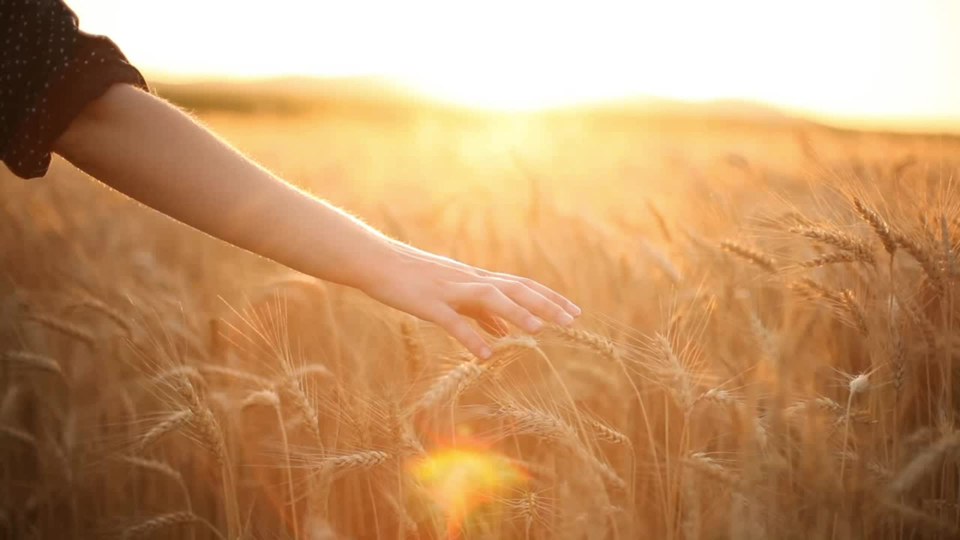 好歌推荐:抖音爆火神曲《是你》,是你想听的歌曲吗?