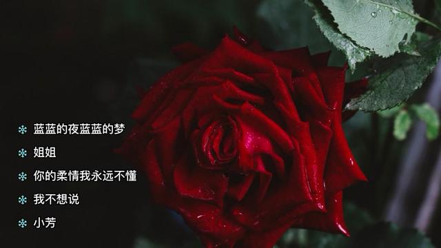 [图]十年辉煌，国语歌曲精选系列2[蓝蓝的夜蓝蓝的梦][姐姐][小芳]