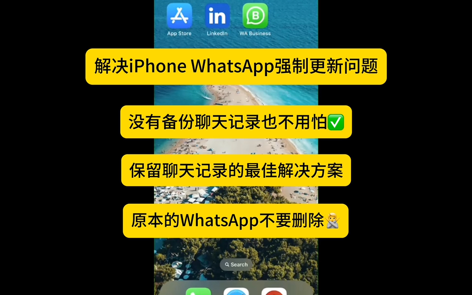 iPhone手机如何解决WhatsApp更新问题,如何顺利下载最新版,保留聊天记录的最佳方案哔哩哔哩bilibili