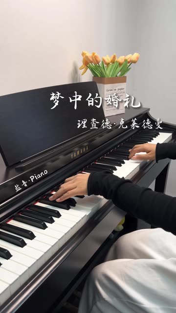 浪漫的曲调加上略带忧伤的梦幻旋律,一首《梦中的婚礼》不知曾打动过多少人的心扉,又有多少人是因为这首钢琴曲热爱上了钢琴.哔哩哔哩bilibili