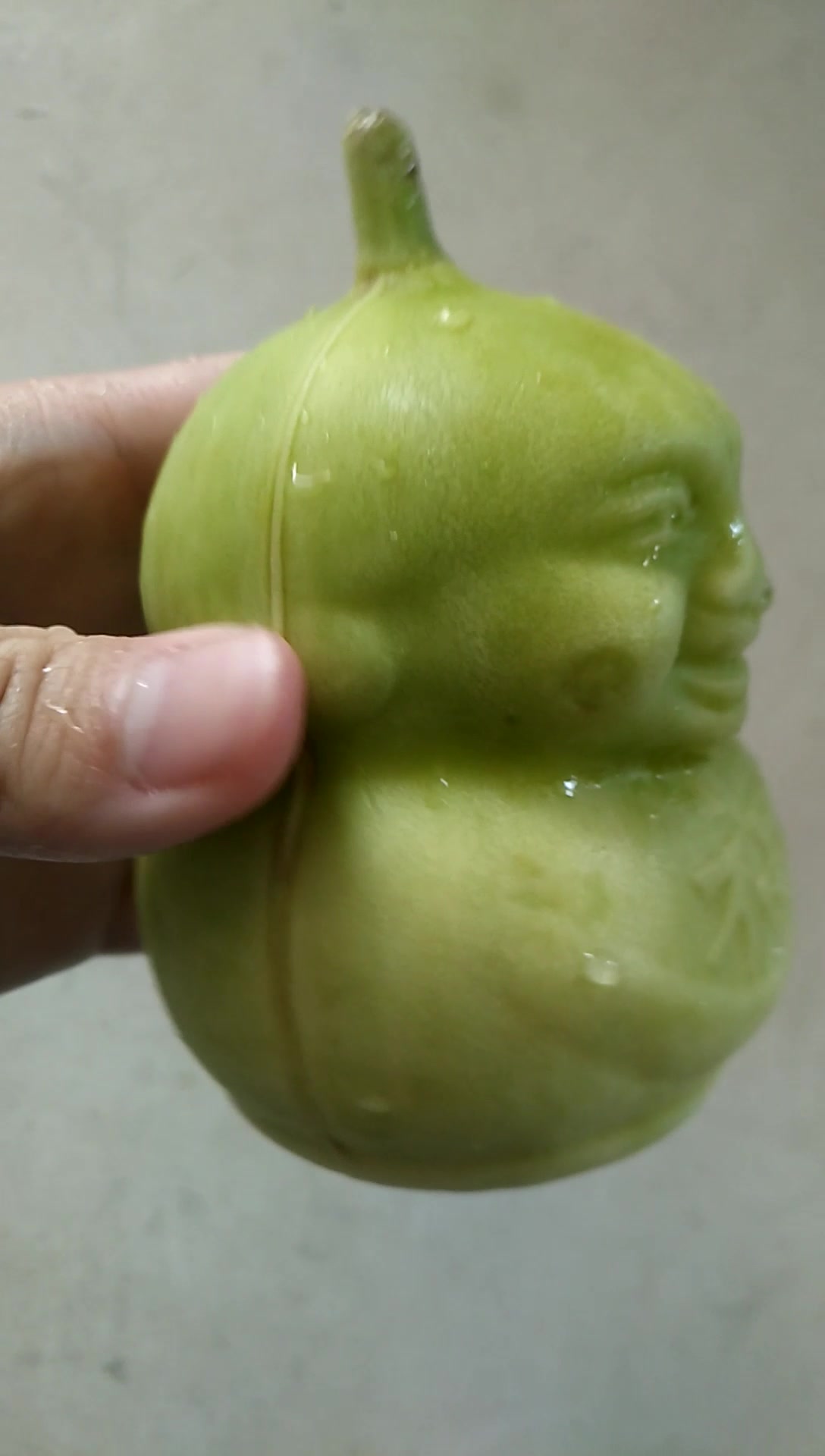 福娃人参果