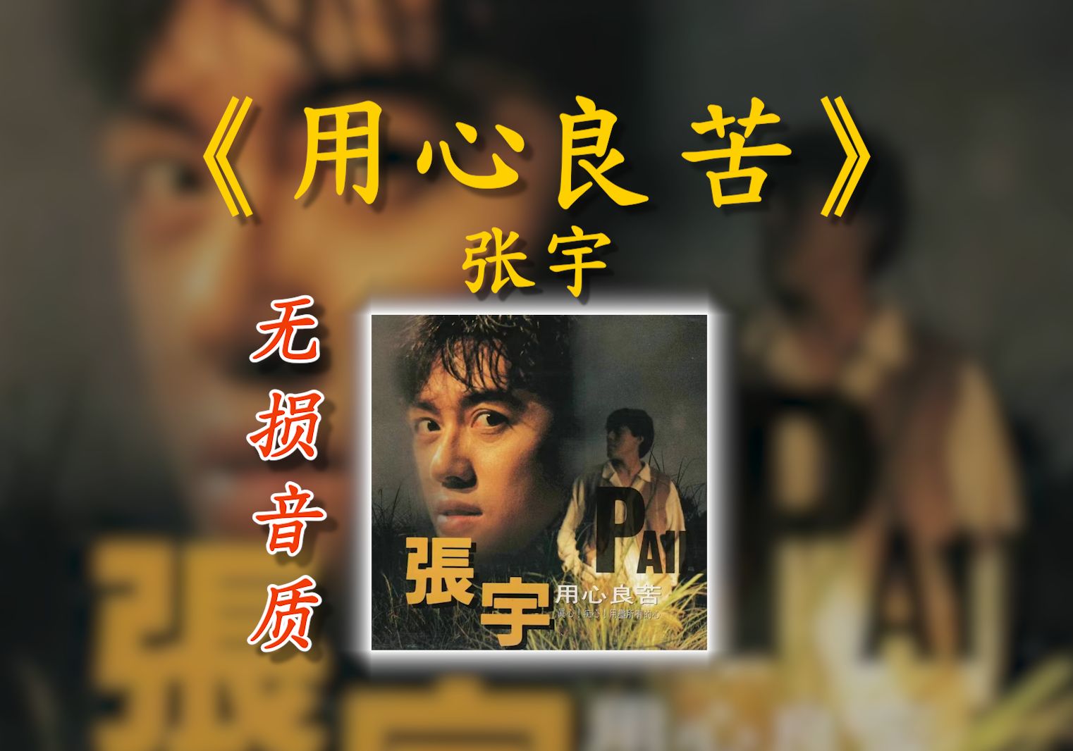 【无损音质】张宇《用心良苦》高音质无损音乐车载经典畅听站