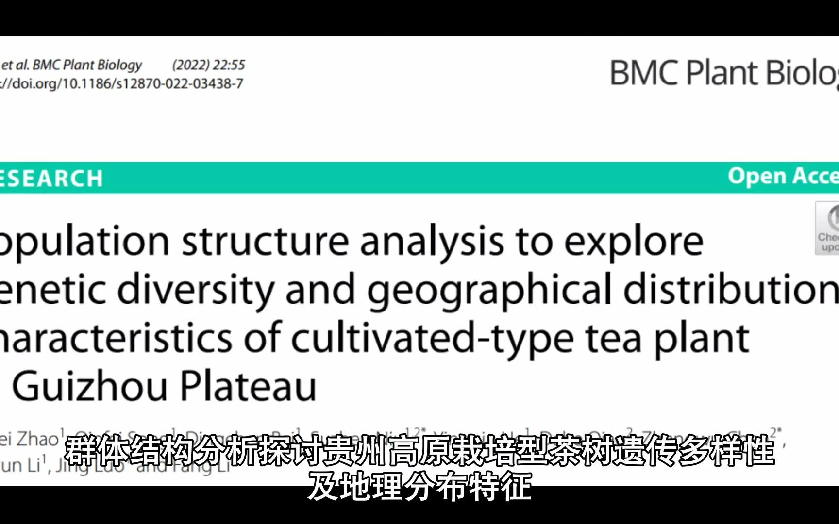 群体结构分析探讨贵州高原栽培型茶树遗传多样性及地理分布特征哔哩哔哩bilibili