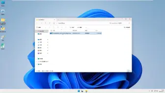 Windows11_25H2无更新深度精简版，内置浏览器安装包