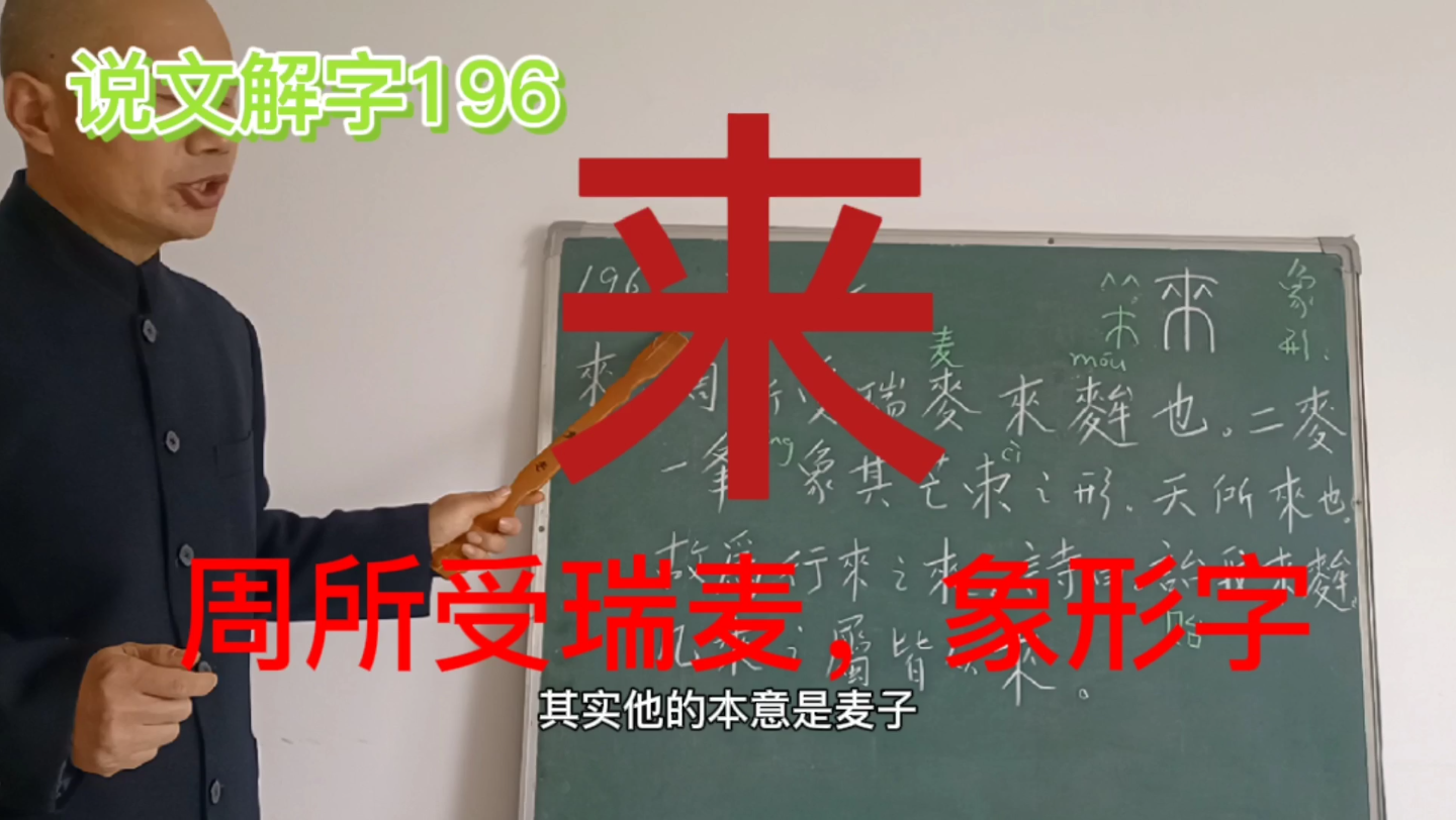 [图]说文部首196来：周所受瑞麦来麰也，二麦一夆，天所来也，象形字