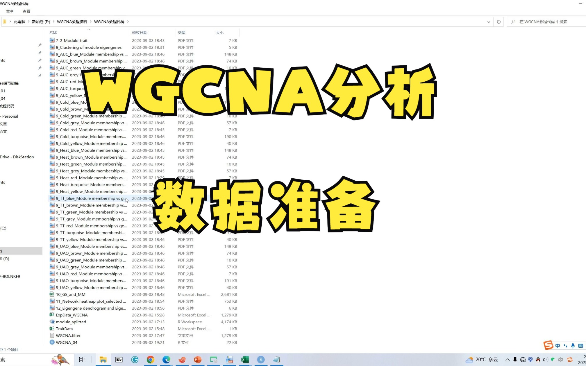 WGCNA分析 | 数据准备(表达量与表型数据)哔哩哔哩bilibili