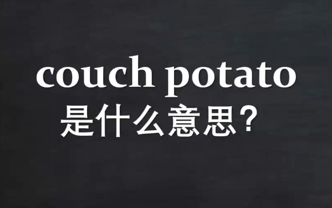 couch potato是什么意思?哔哩哔哩bilibili