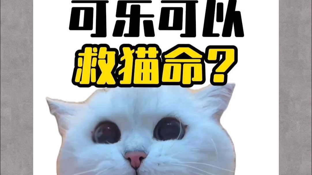 可乐可以救猫命？