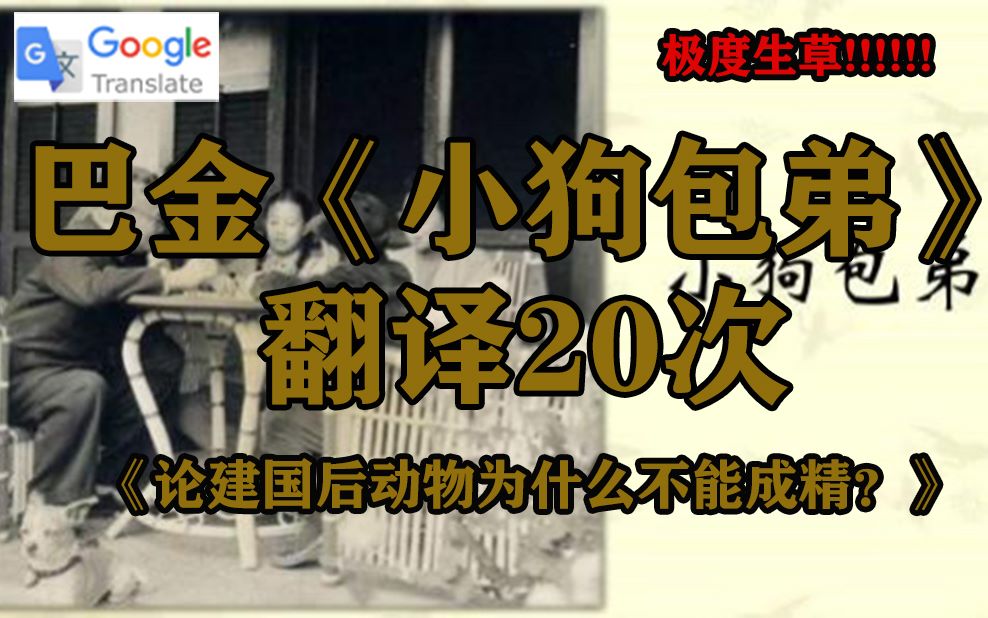 谷歌翻译20次巴金的《小狗包弟》说好的建国后动物不能成精呢?草!!!哔哩哔哩bilibili