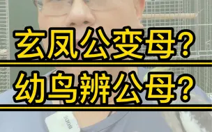 在网上购买公玄凤，养大是母的，玄凤鹦鹉幼鸟能分辨公母吗？