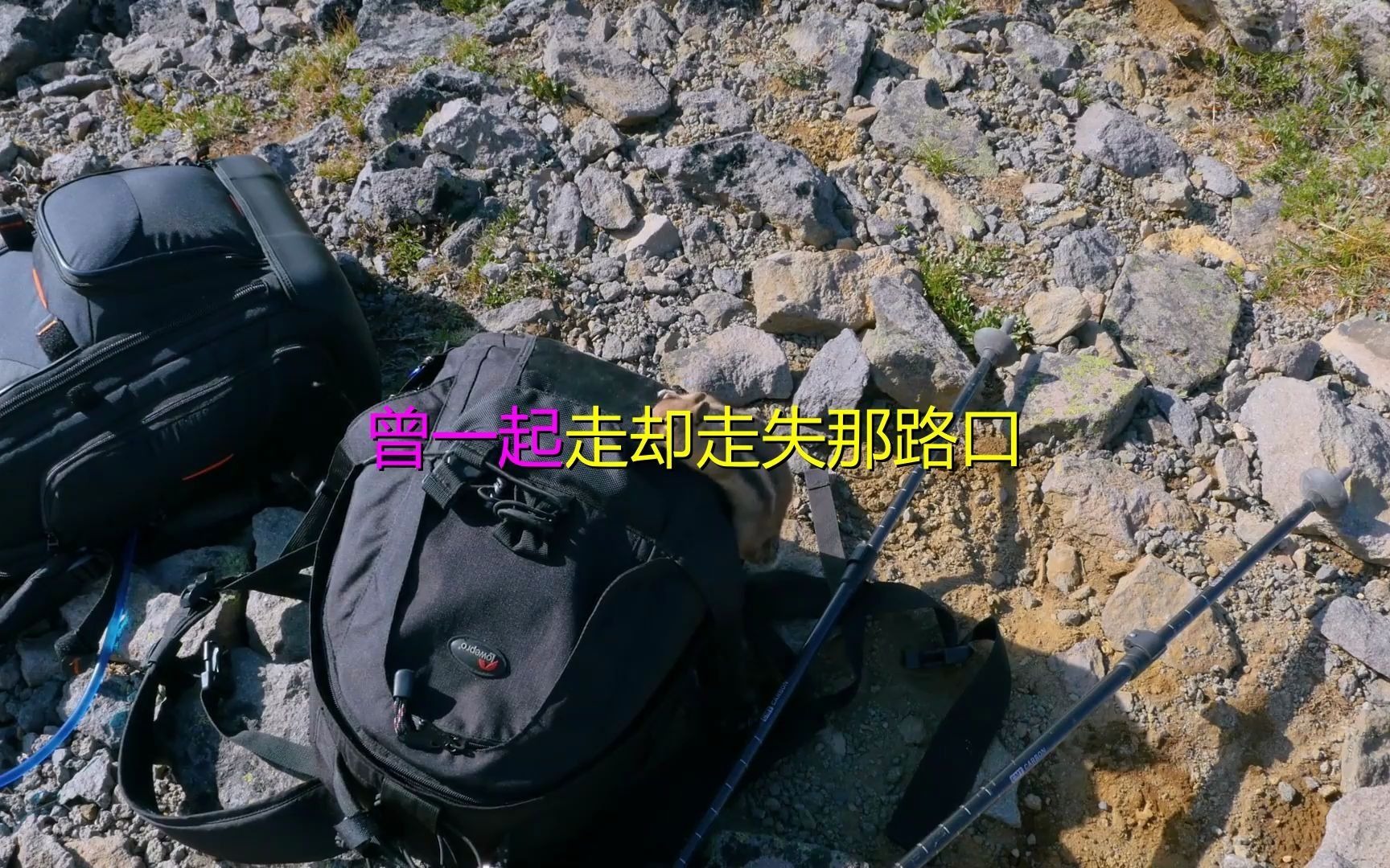 [图]《可惜不是你》《环游四季的爱》经典歌曲欣赏