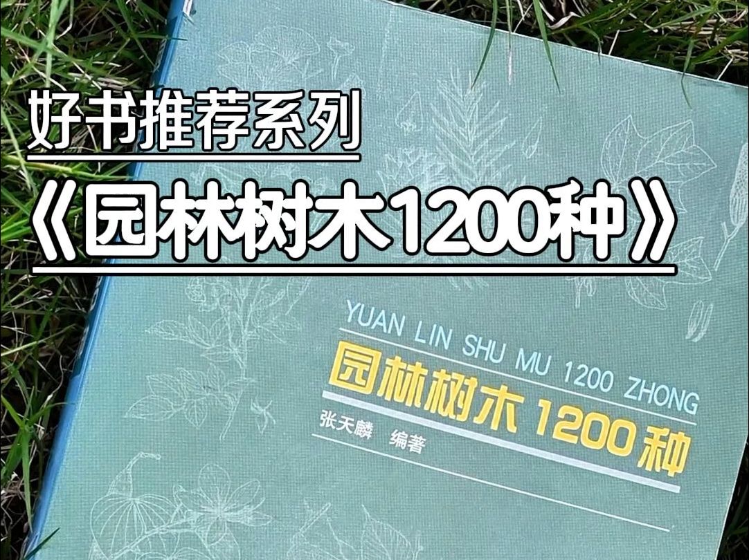 好书推荐系列之《园林树木1200种》《园林树木1600种》哔哩哔哩bilibili