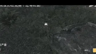 和平，看队友进第几名