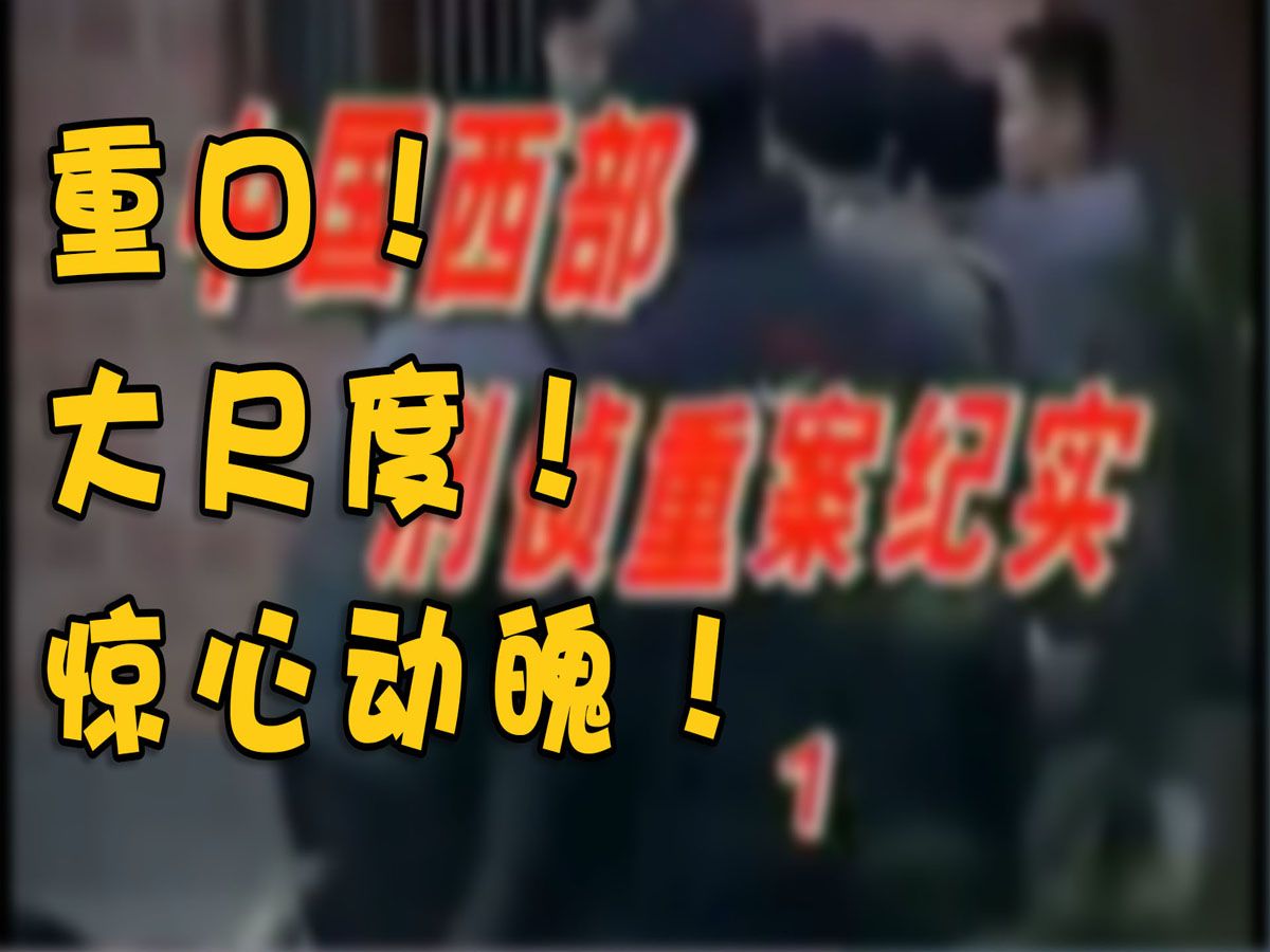 国内尺度最大刑侦犯罪纪录片之一,真实惊悚震惊【有码放心观看】哔哩哔哩bilibili