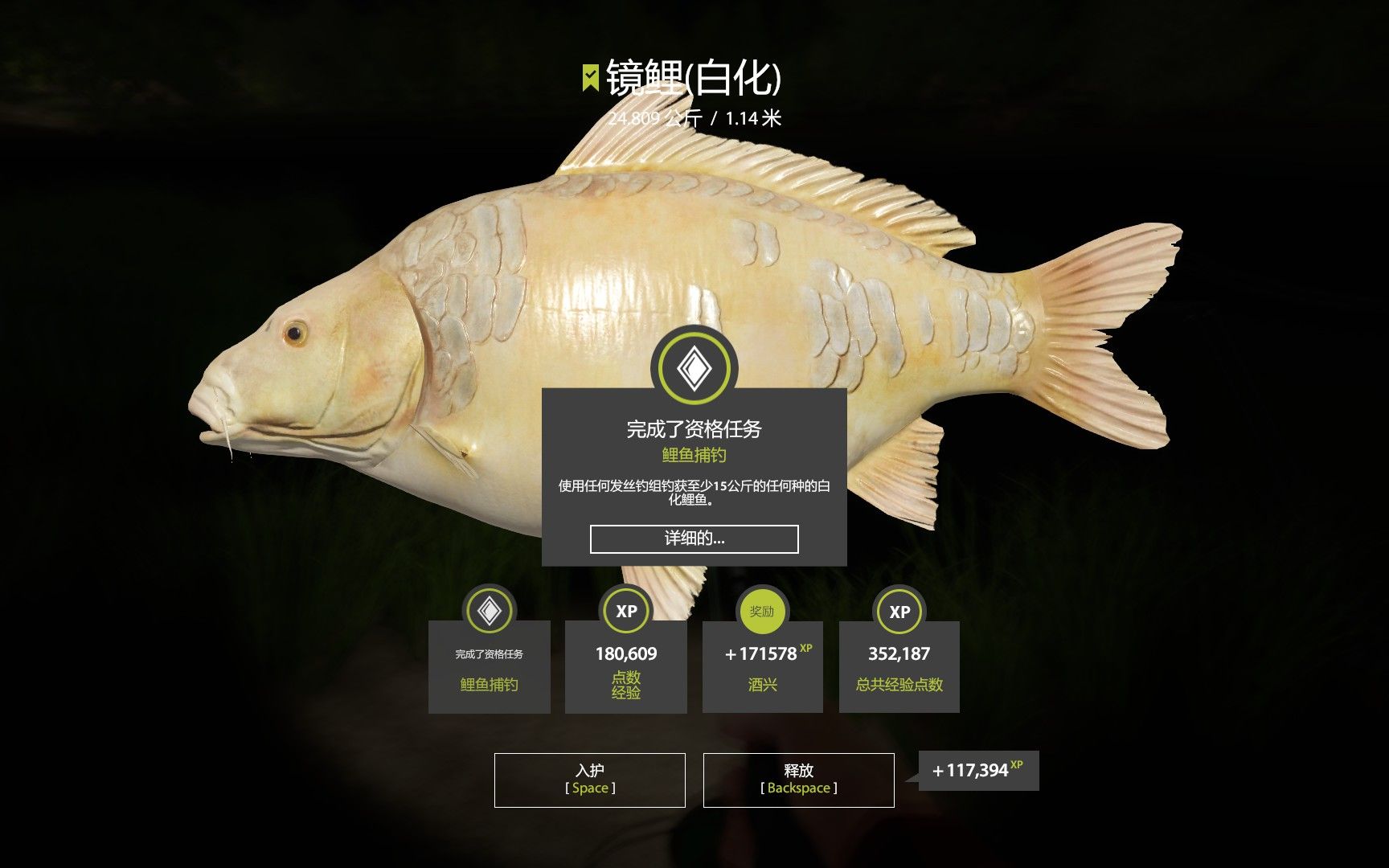 究极下饭(镜鲤 白化)