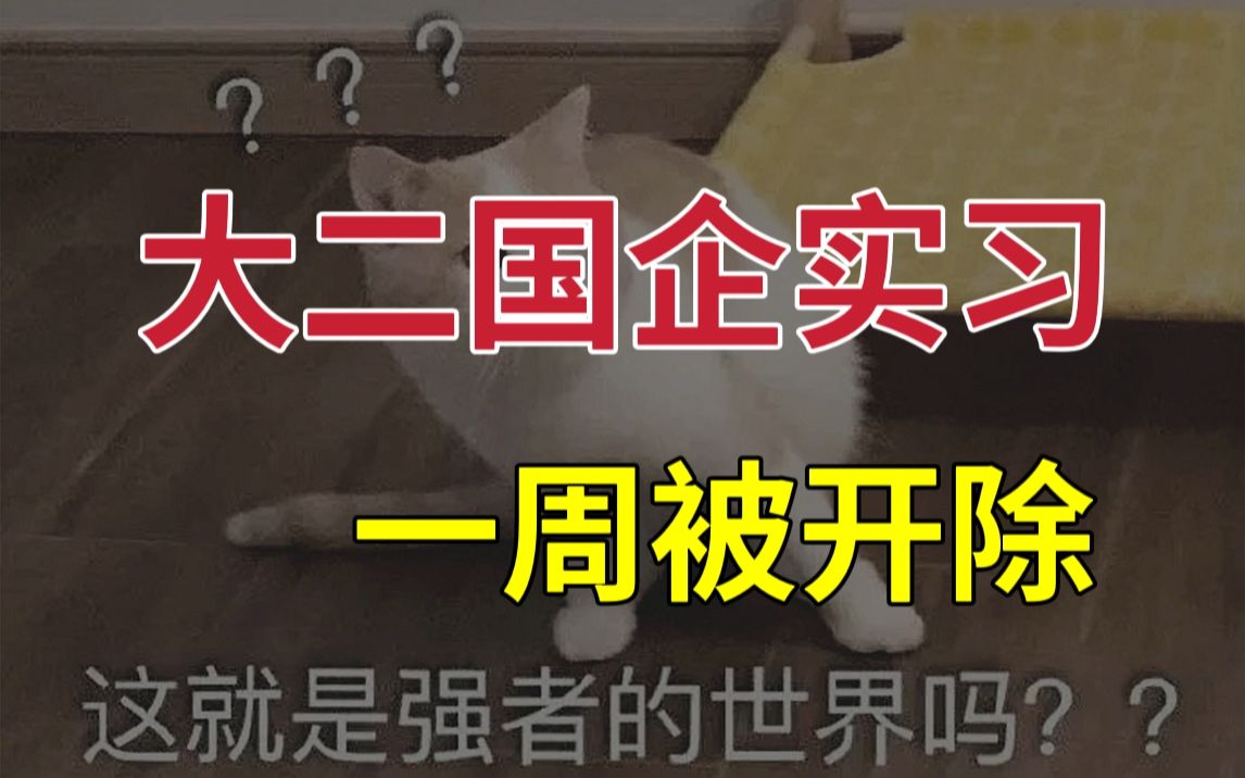 19岁,国企实习一周被开除的经历总结哔哩哔哩bilibili