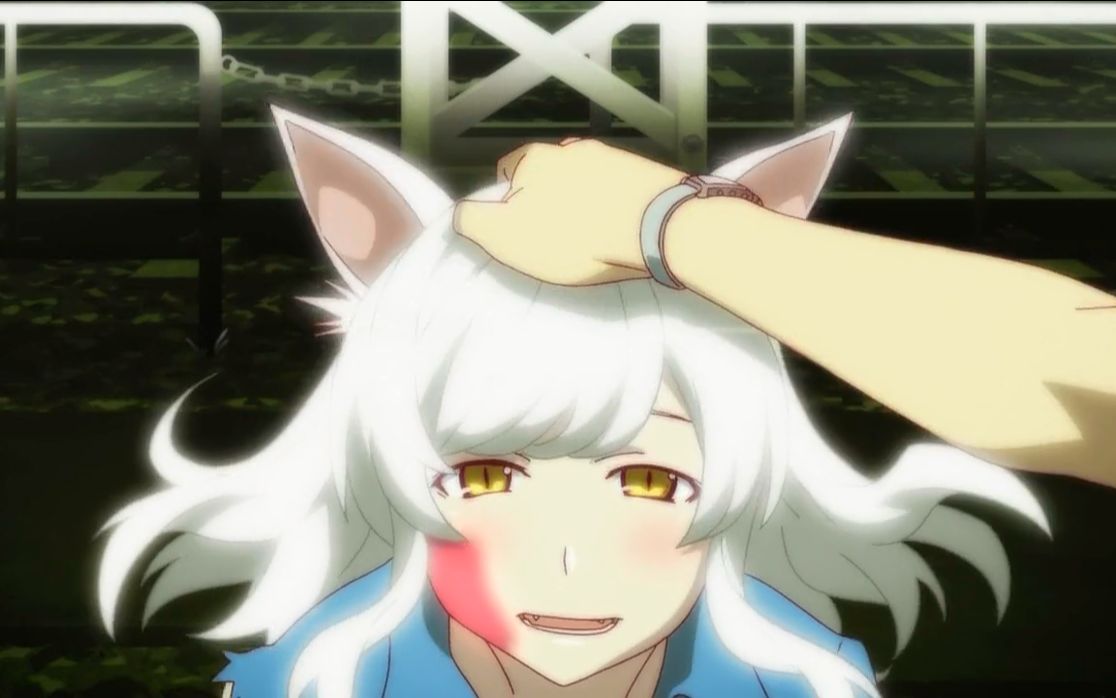 代号聊物语喵耳朵妹纸羽川翼01