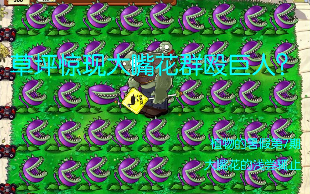 【幸运的西瓜投手】pvz新系列:植物的暑假第7期(大嘴花的浅尝辄止)