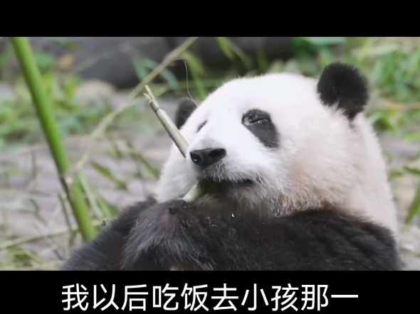 花花可爱说:"啥也不是,散会.