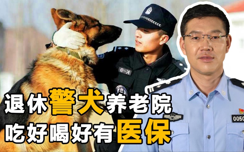 [图]警犬也有养老院，退休后福利多多