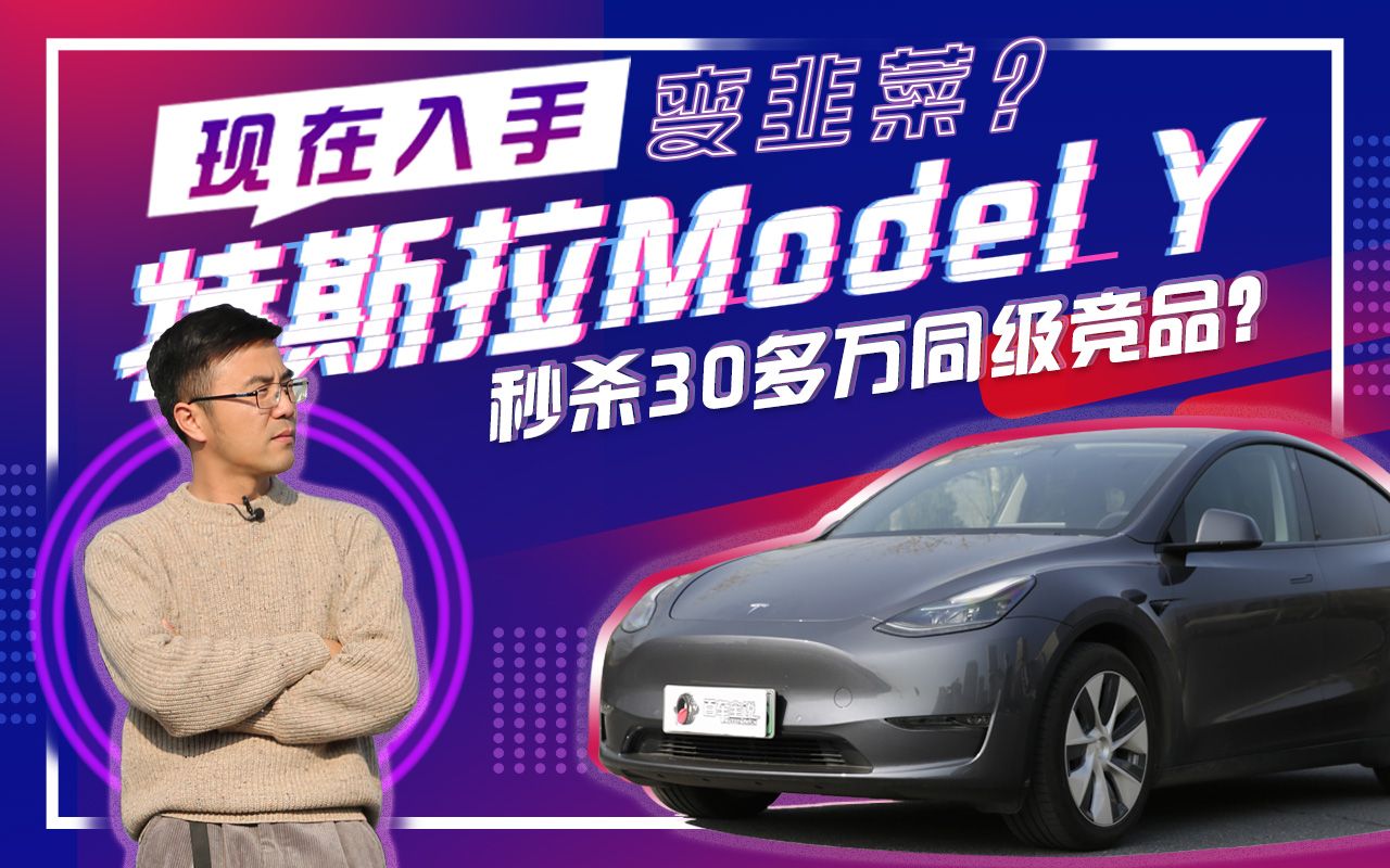 特斯拉Model Y:现在入手会变韭菜吗?30多万有哪些电动车可以备选?哔哩哔哩bilibili