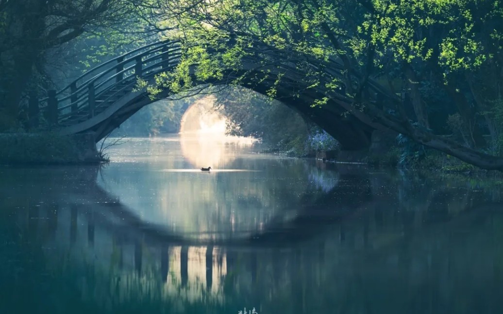 [图]烟雨西湖，三月杭州