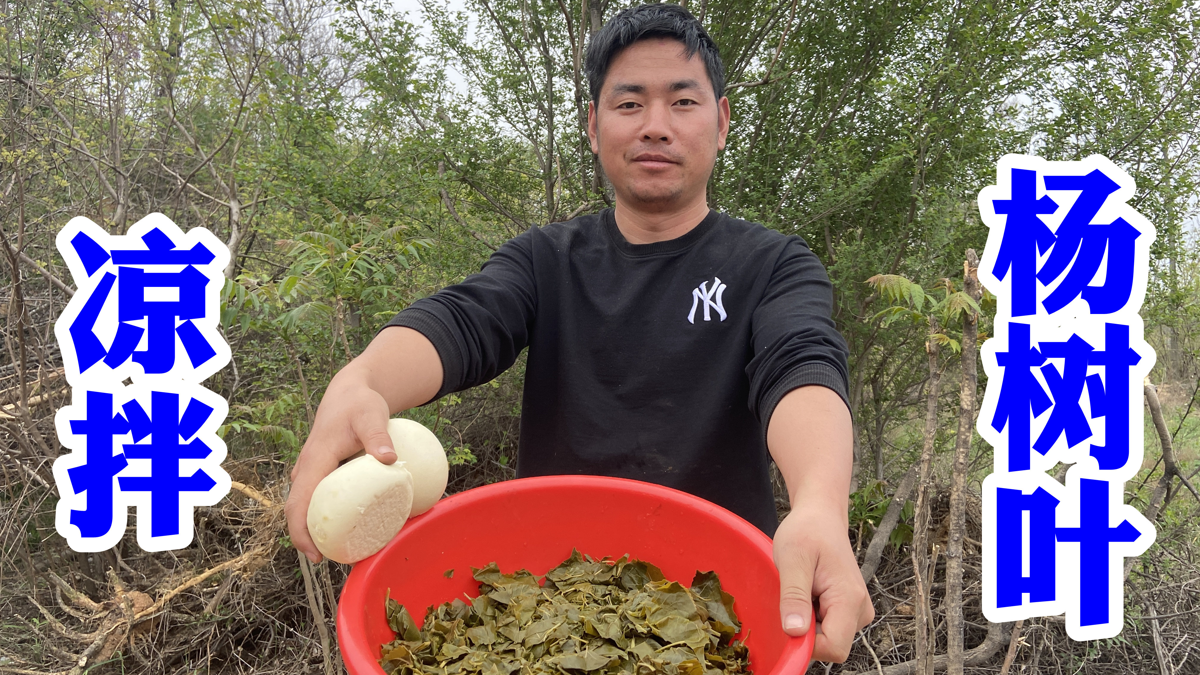 河南洛阳的杨树叶可以吃了,凌云去摘了大半袋,做成了两道美食哔哩哔哩bilibili