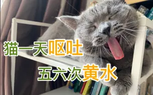 Download Video: 猫一天呕吐五六次黄水