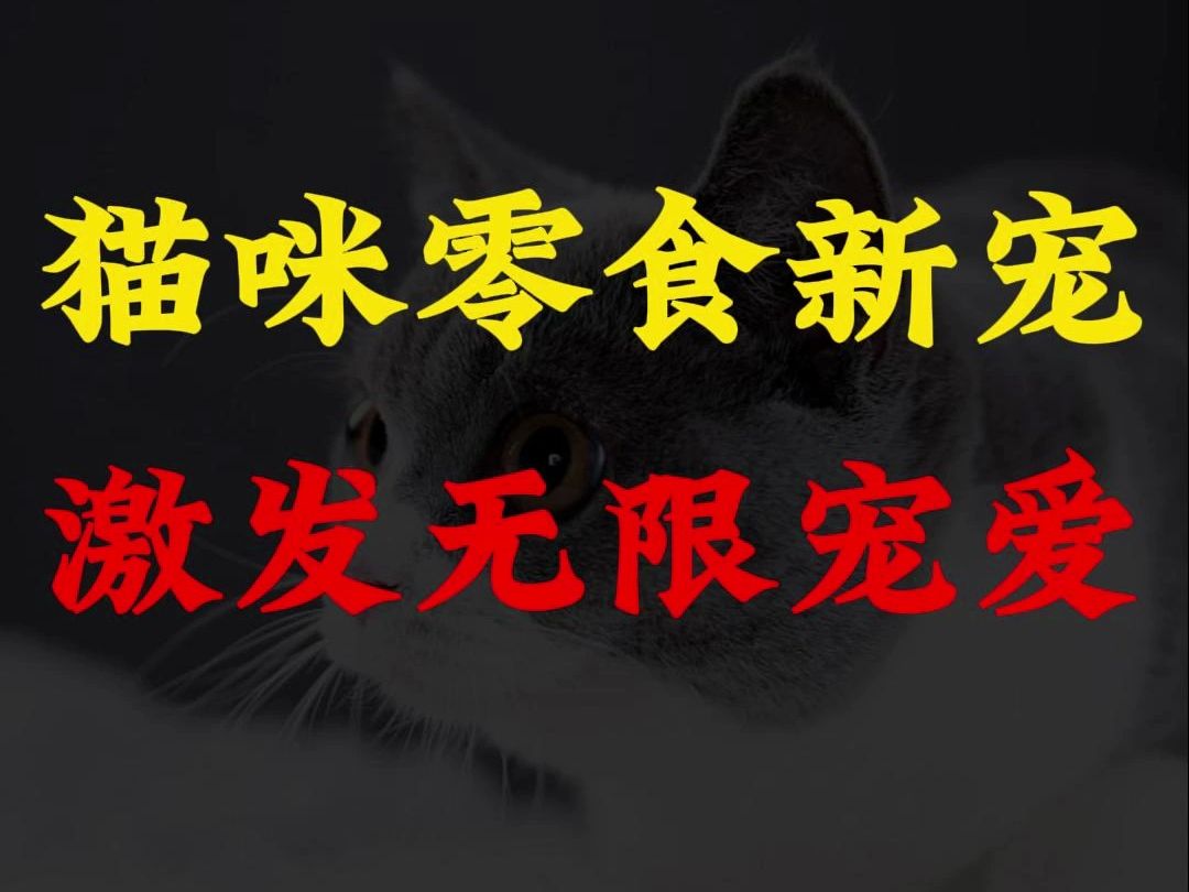 猫咪零食新宠,激发无限宠爱哔哩哔哩bilibili