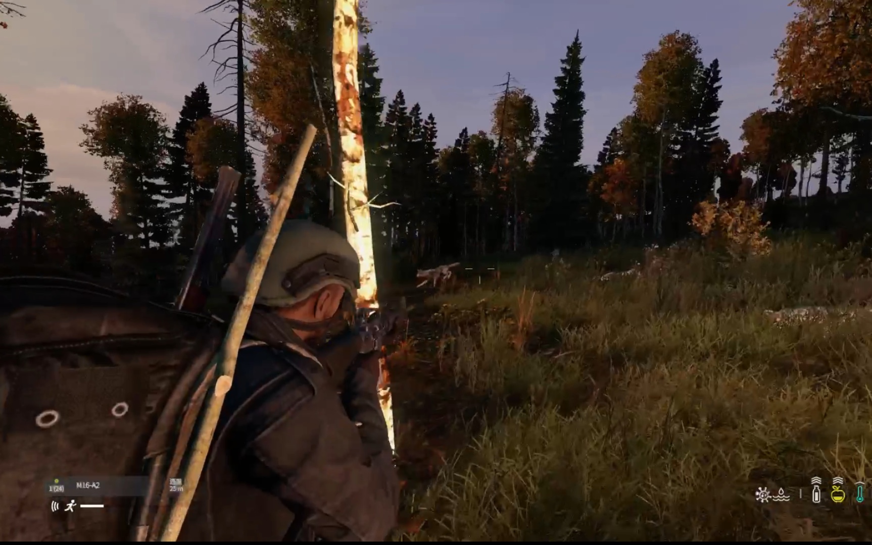 ps5 dayz官服生存记录1(烹饪与猎杀屌毛)