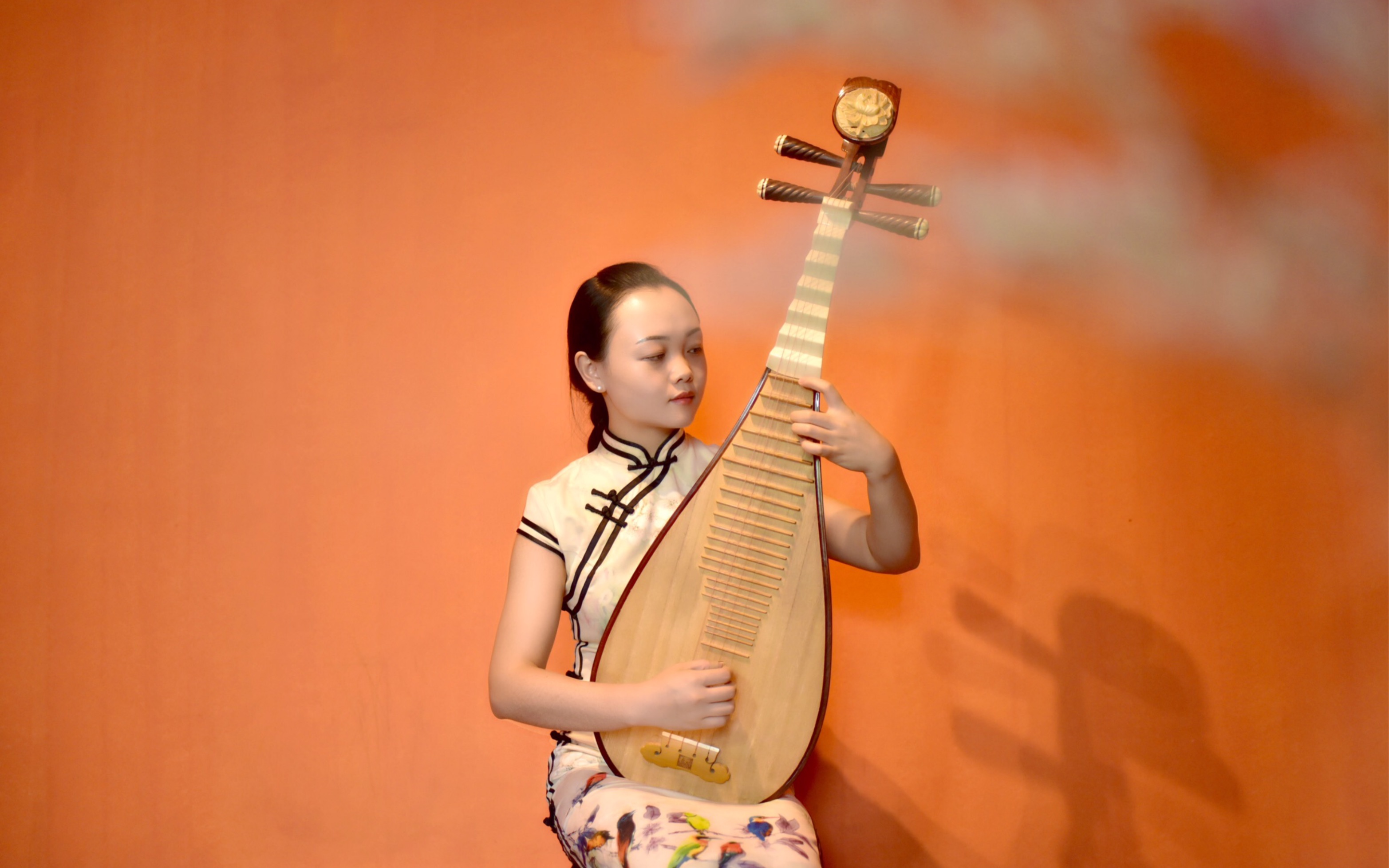 还记得第一首学的琵琶曲吗?我的是凤阳花鼓你们呢?