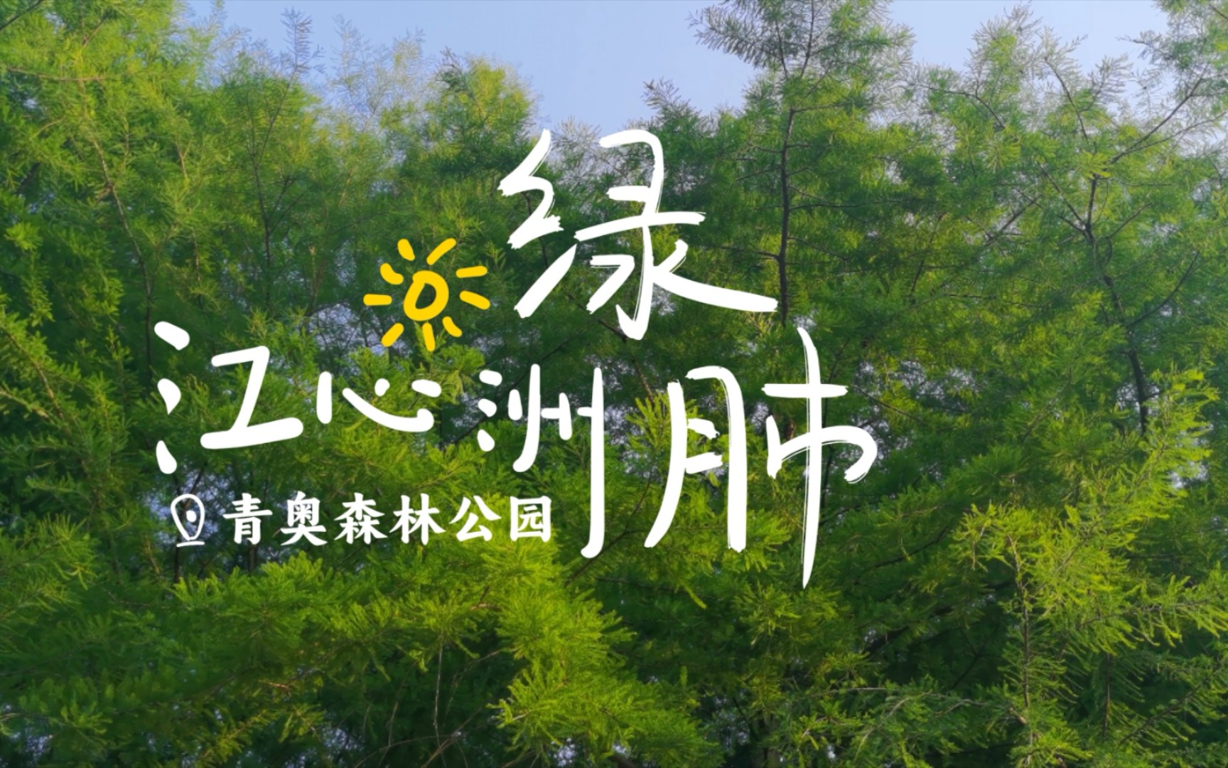 【初夏·江心洲】34℃的天气,来这里乘凉