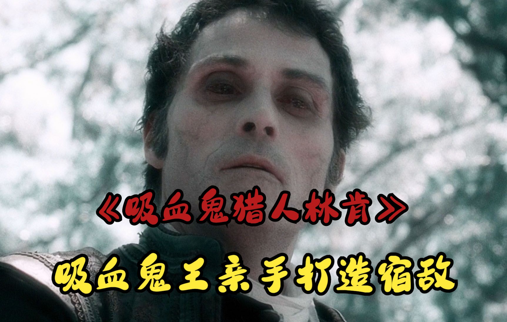 不好看你打我,全程无尿点的魔幻巨作《吸血鬼猎人林肯》哔哩哔哩bilibili