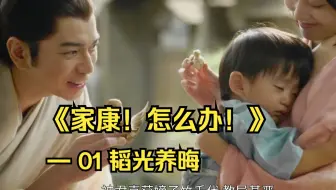 【小海剧场】《家康！怎么办》01韬光养晦 【少年家康，为爱决斗】