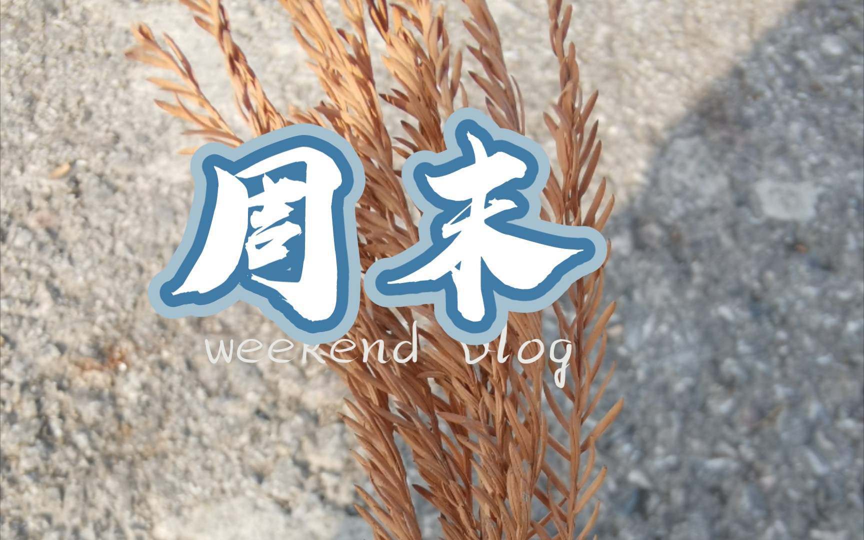 周末干点啥好呢?