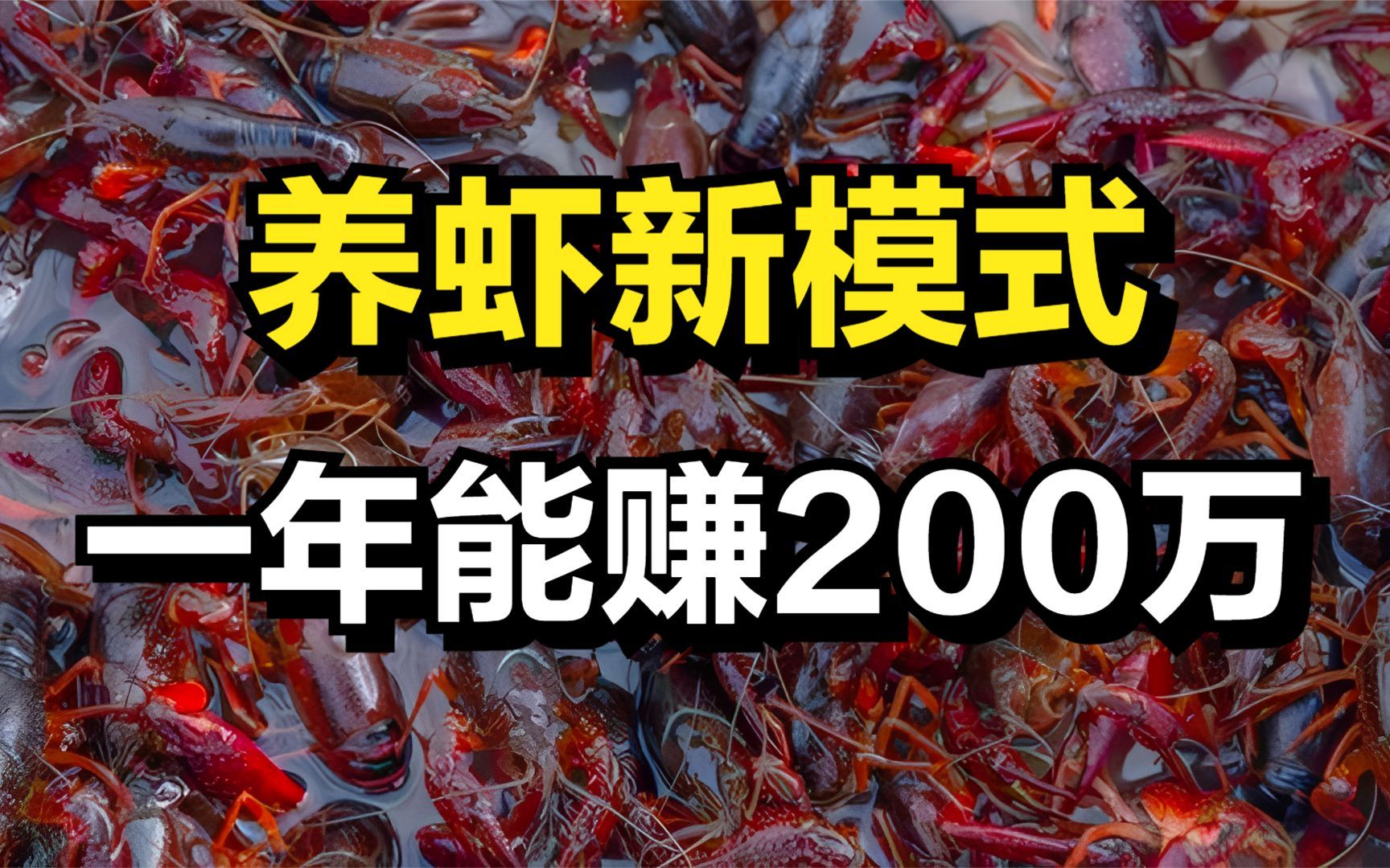 他养虾的方式不一般,一斤龙虾最贵能卖50元,年收入高达200万元哔哩哔哩bilibili