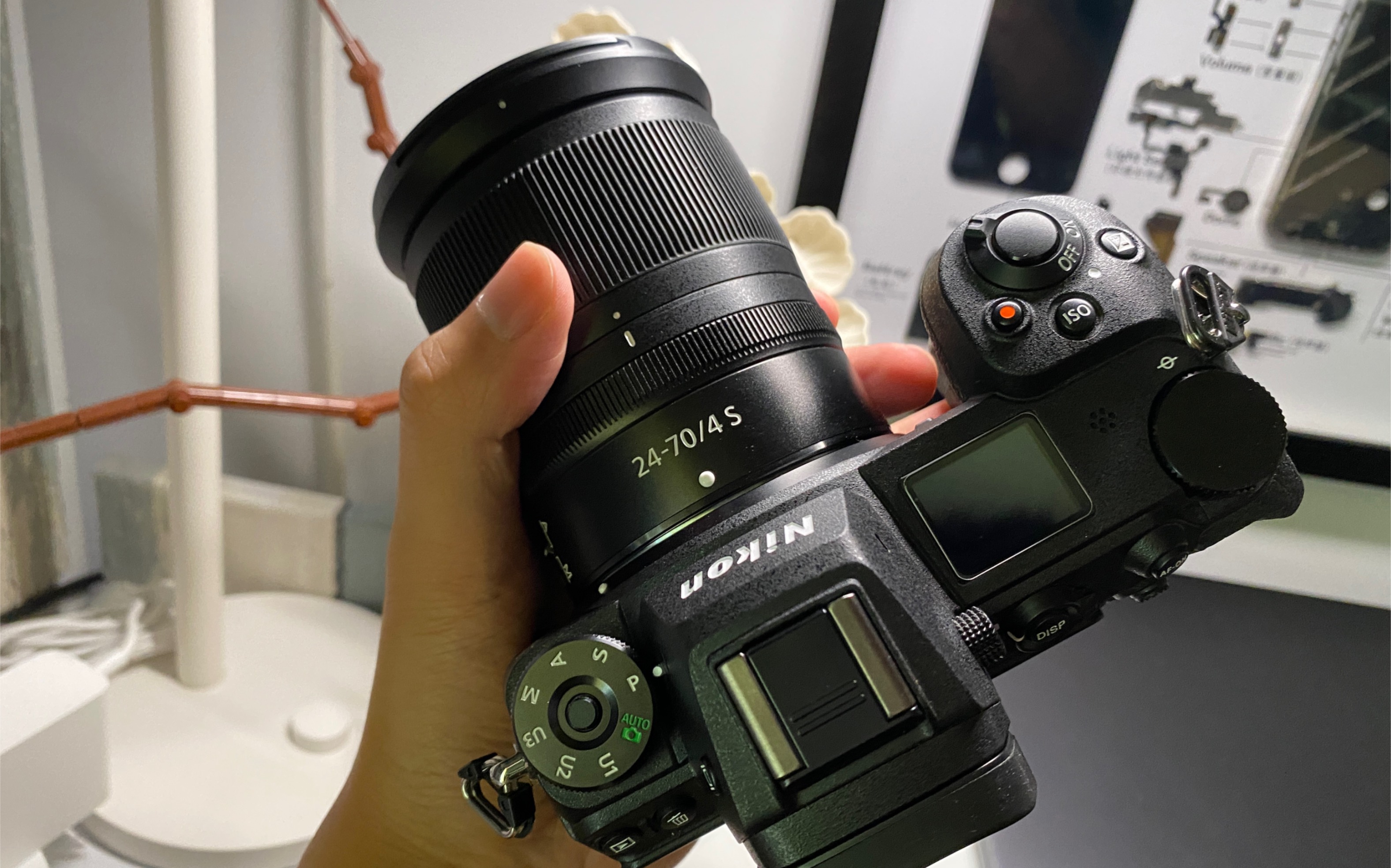 又又又一位hxd倒在了发布夜前夕(尼康-z6ii)