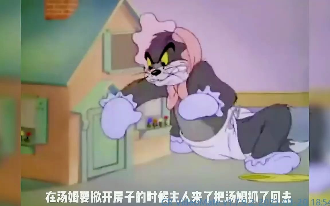 猫和老鼠偷看洗澡图片