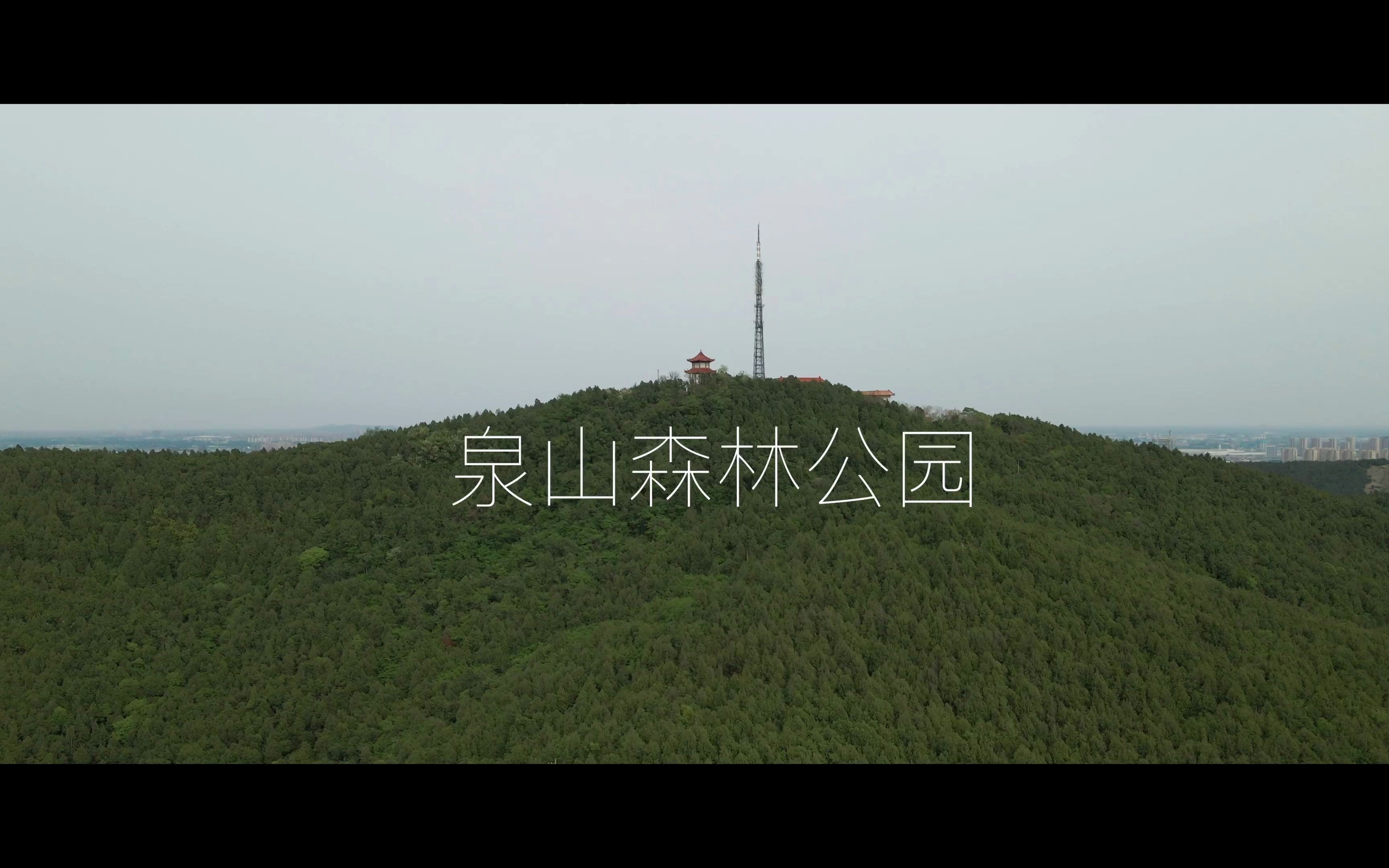 泉山森林公园哔哩哔哩bilibili