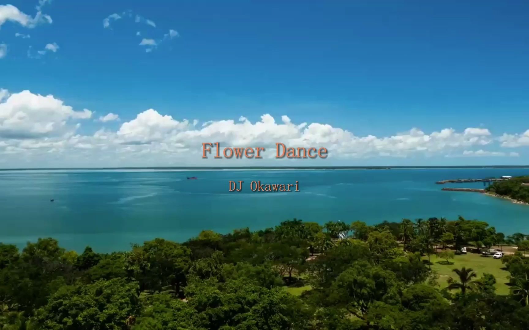 [图]Flower Dance·DJ Okawari·温暖的旋律，久久难忘，永恒的经典