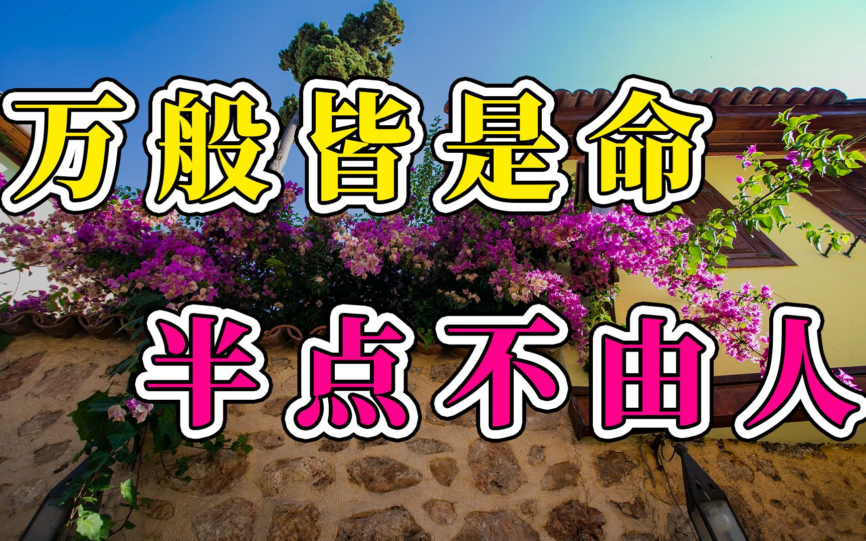 万般皆是命半点不由人