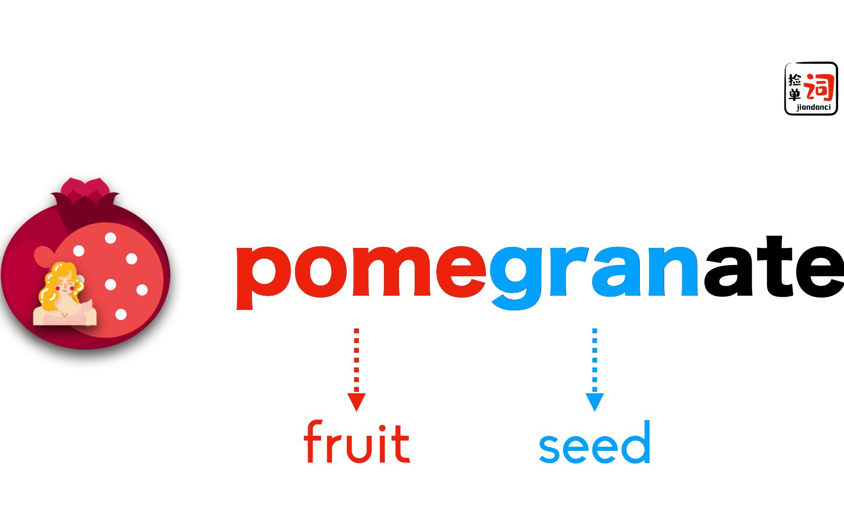 石榴好吃不好记,今天搞定酸爽的Pomegranate哔哩哔哩bilibili