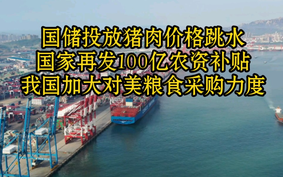 观察:国储投放猪肉价格跳水,国家再发100亿农资补贴;我国加大对美国大豆玉米采购力度,高温下国内稻谷价格却稳如磐石哔哩哔哩bilibili