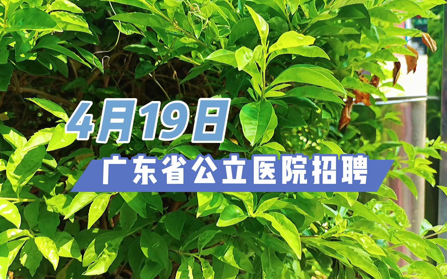 汕头大学医学院第一附属医院、中山大学附属第六医院招聘精选哔哩哔哩bilibili