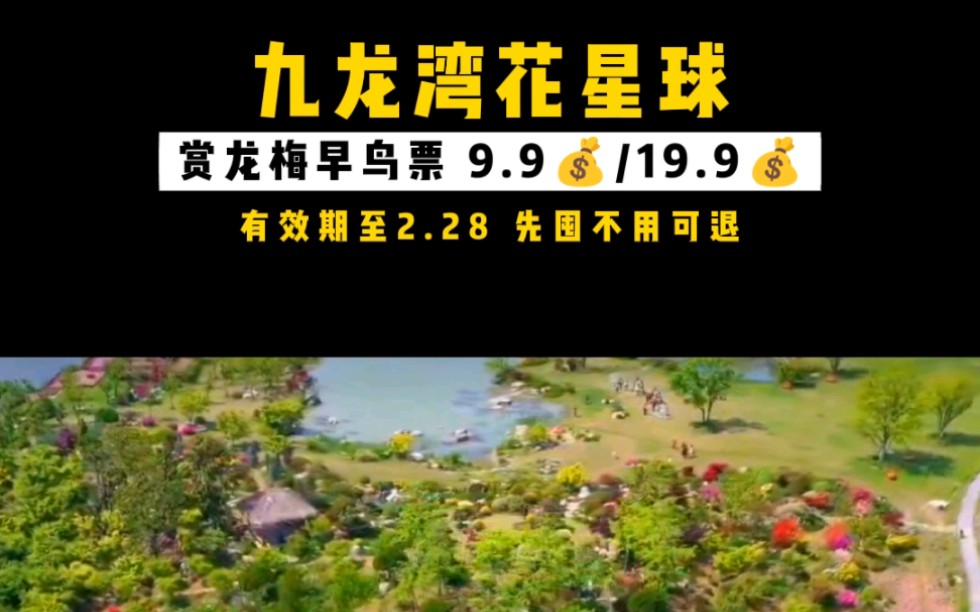 无锡九龙湾花星球赏梅季来了,单人票9.