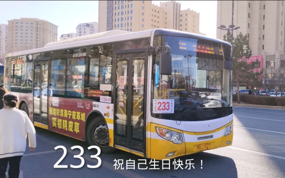 【23333!】哈尔滨公交233路(延兴路→林业总医院→巴黎第五区)区段前方展望【POV61】哔哩哔哩bilibili