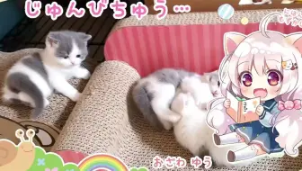 男性向け 配信者の彼女シチュエーションボイス 夜夢瑠紅ハコネクト 哔哩哔哩 Bilibili