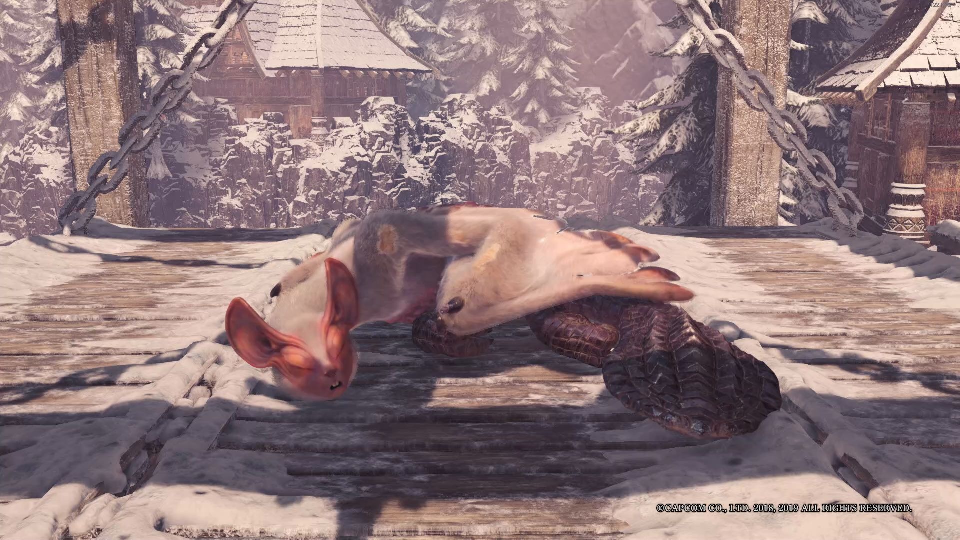 【一起看龙睡觉吧】浮空龙睡觉